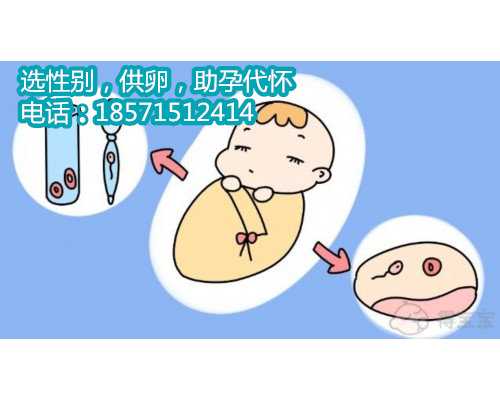 苏州正规的代孕网站,试管婴儿可以定制双胞胎
