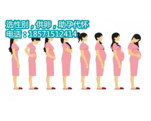 苏州正规代怀公司价格表,2022北京供卵医院试管婴儿多少钱