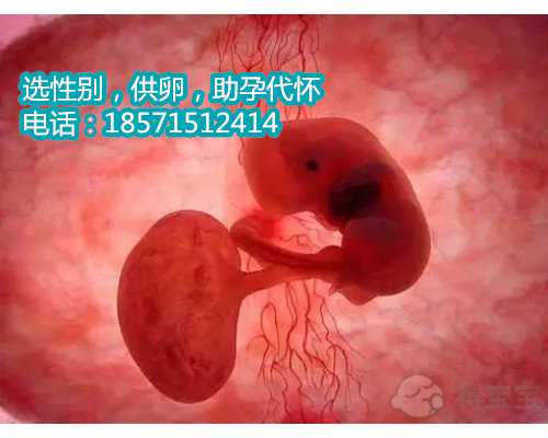 苏州代怀生子孩子价格,1福州妇幼试管婴儿哪个医生技术好