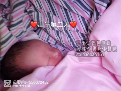 苏州正规医院供卵时间长,1广东省妇幼保健院知名试管婴儿医生
