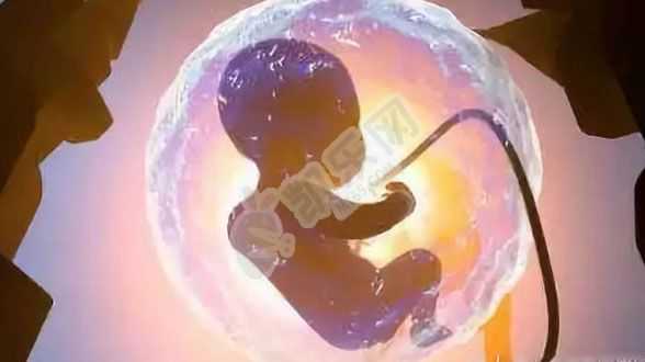 苏州代怀生子助孕服务,上海排名前十的妇幼医院